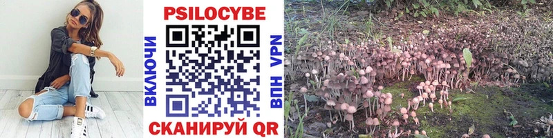 Купить закладки  Борисоглебск  Псилоцибиновые грибы Psilocybe 