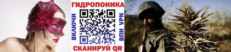Купить где  Борисоглебск  Шишки марихуана семена 